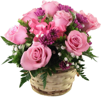 a basket of pink roses 